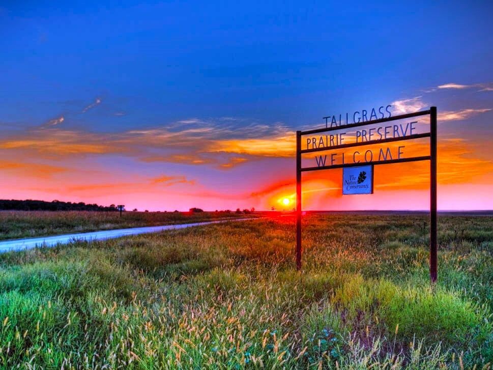 Picture of Joseph H. Williams Tallgrass Prairie Preserve