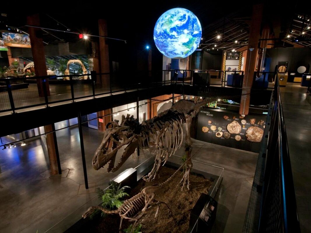 Picture of HOUSTON MUSEUM OF NATURAL SCIENCE AT SUGAR LAND