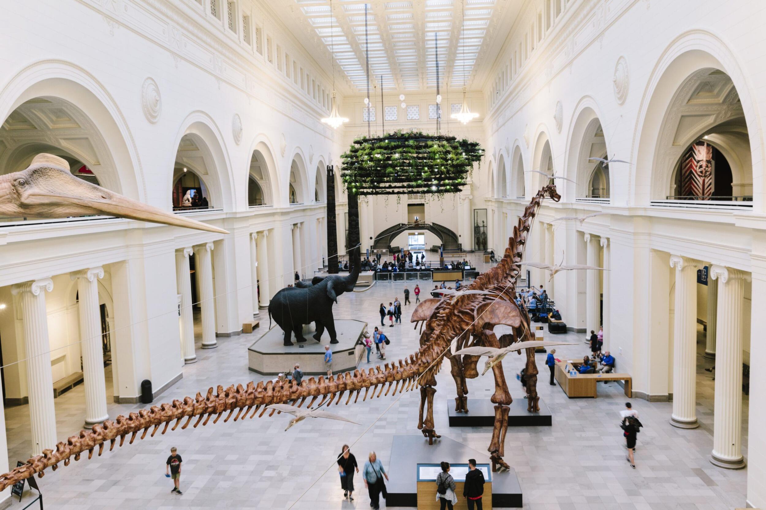 Picture of Field Museum