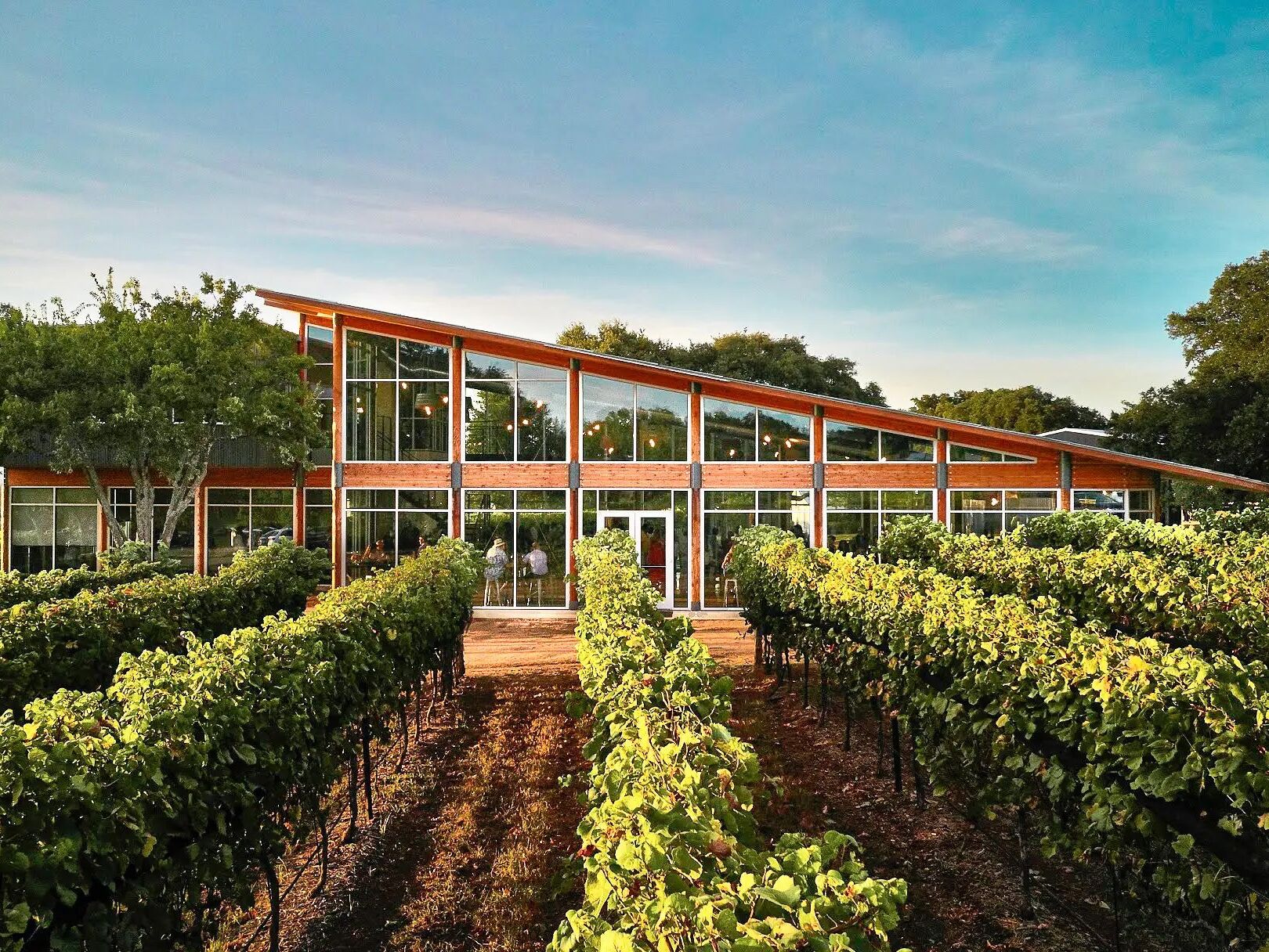 Picture of William Chris Vineyards