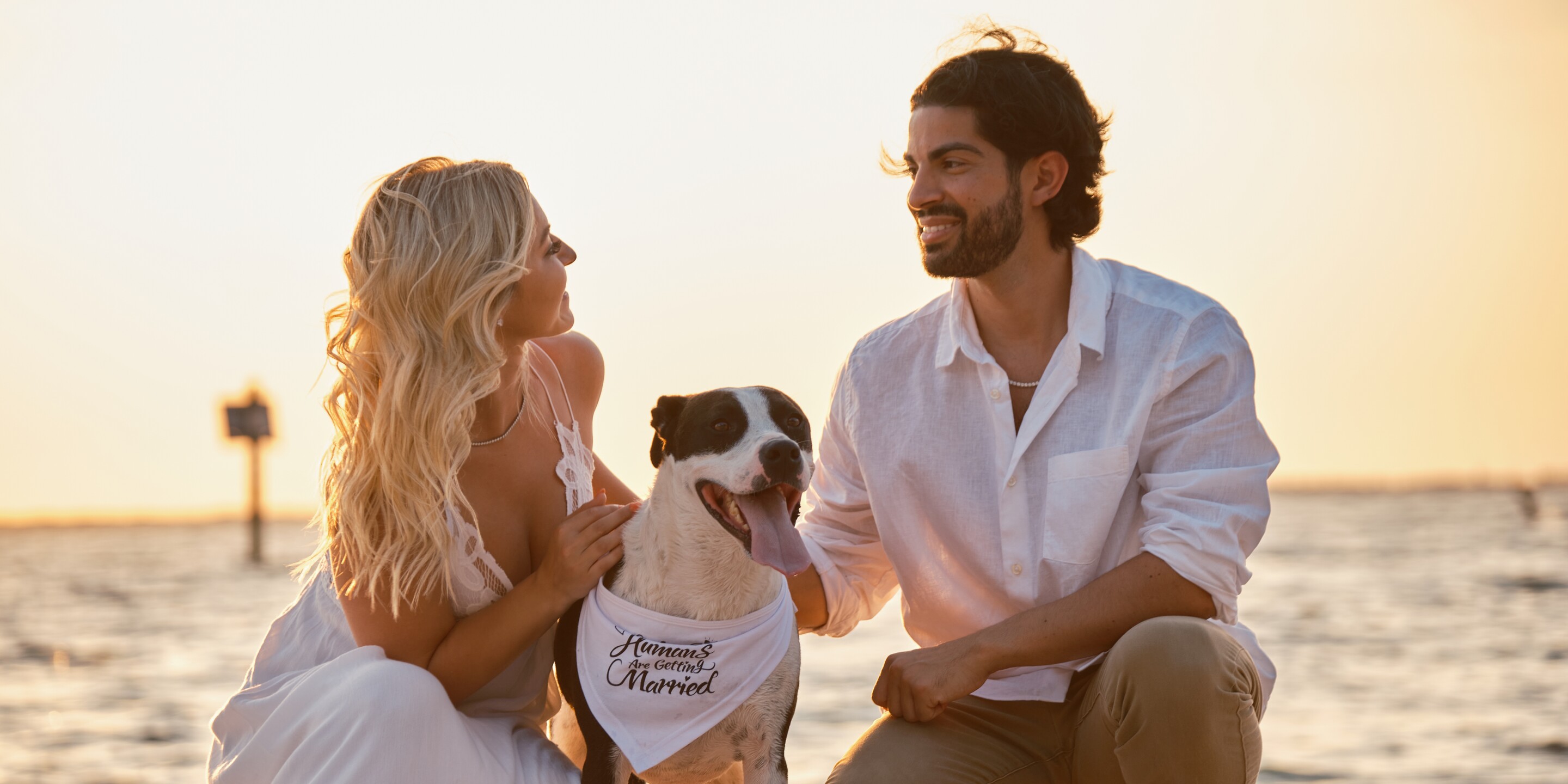 Nicholas & Alyssa Home Page Banner