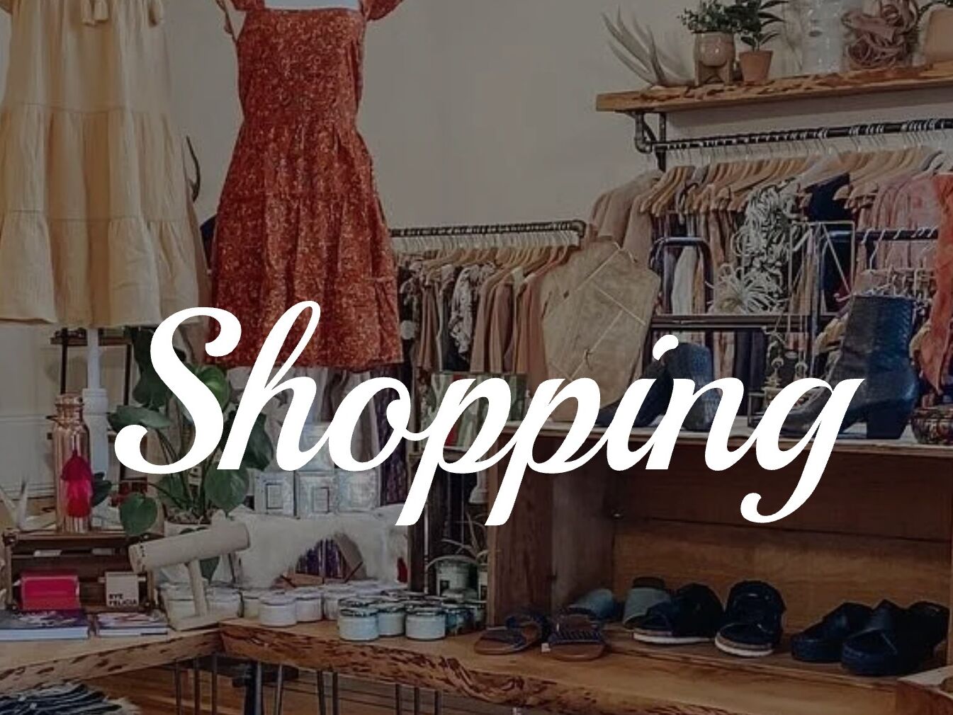 Picture of Shopping