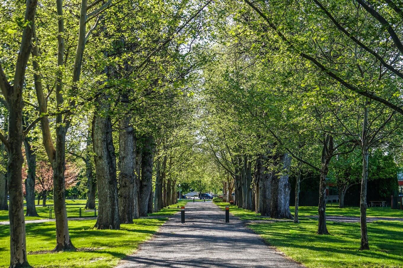 Picture of Julia Davis Park