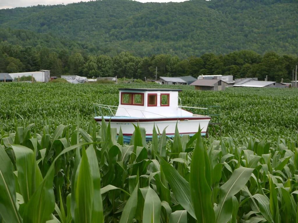 Picture of Great Vermont Corn Maze