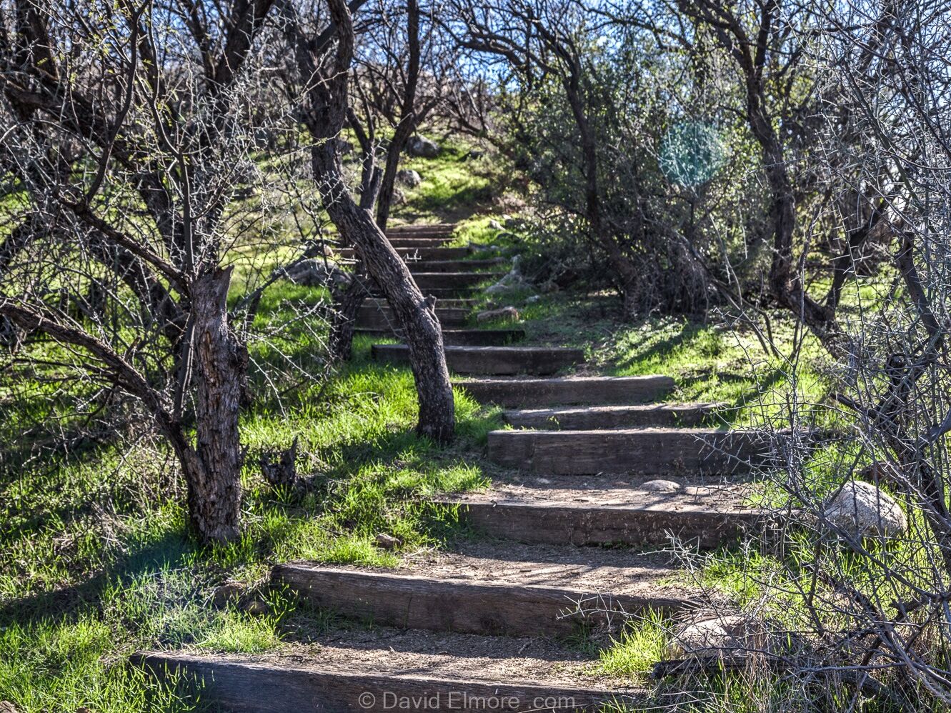 Picture of Catalina State Park