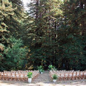 Intimate Redwood Forest Ceremony