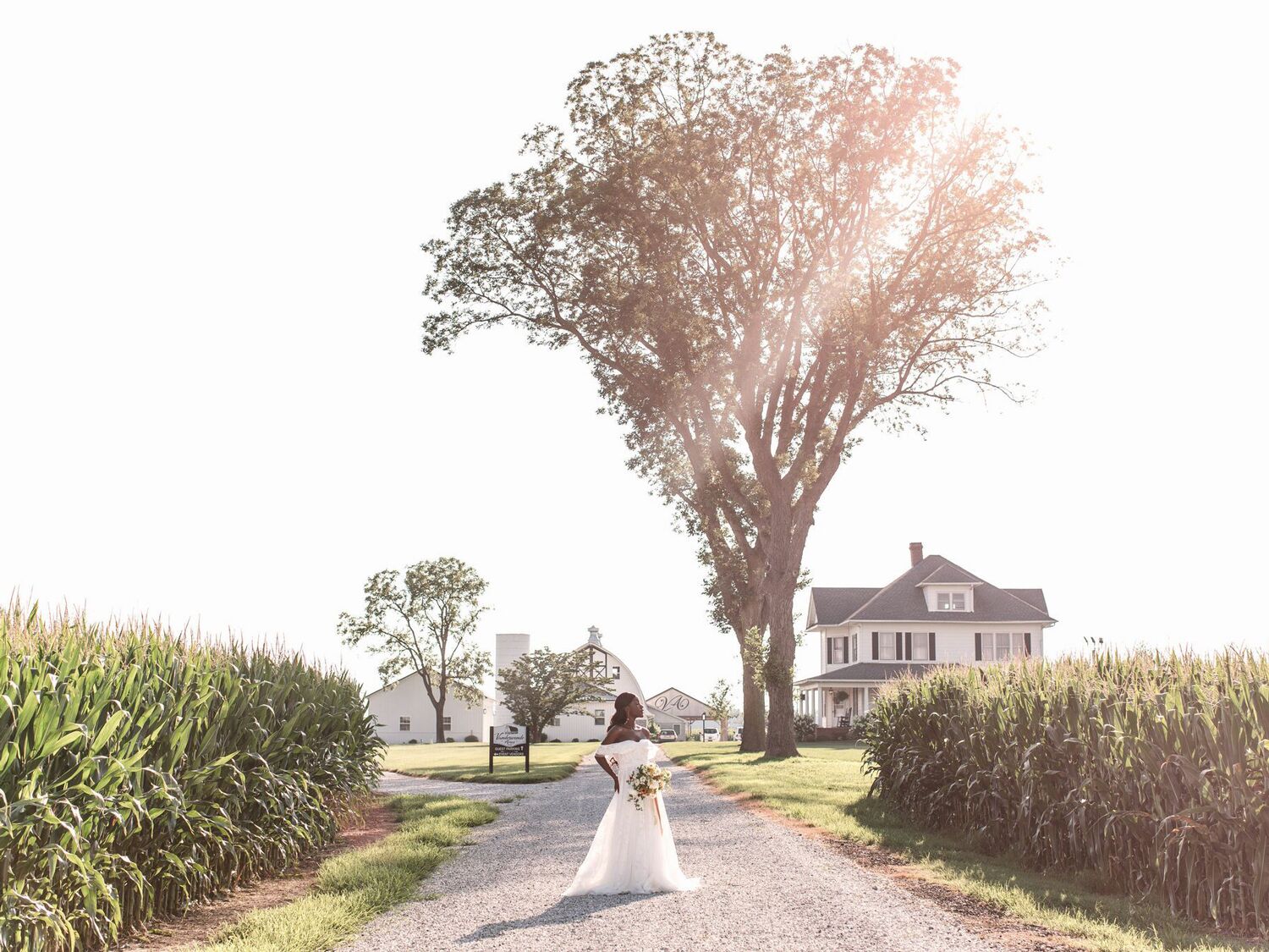 Free wedding venues in delaware Beachweddingtips com