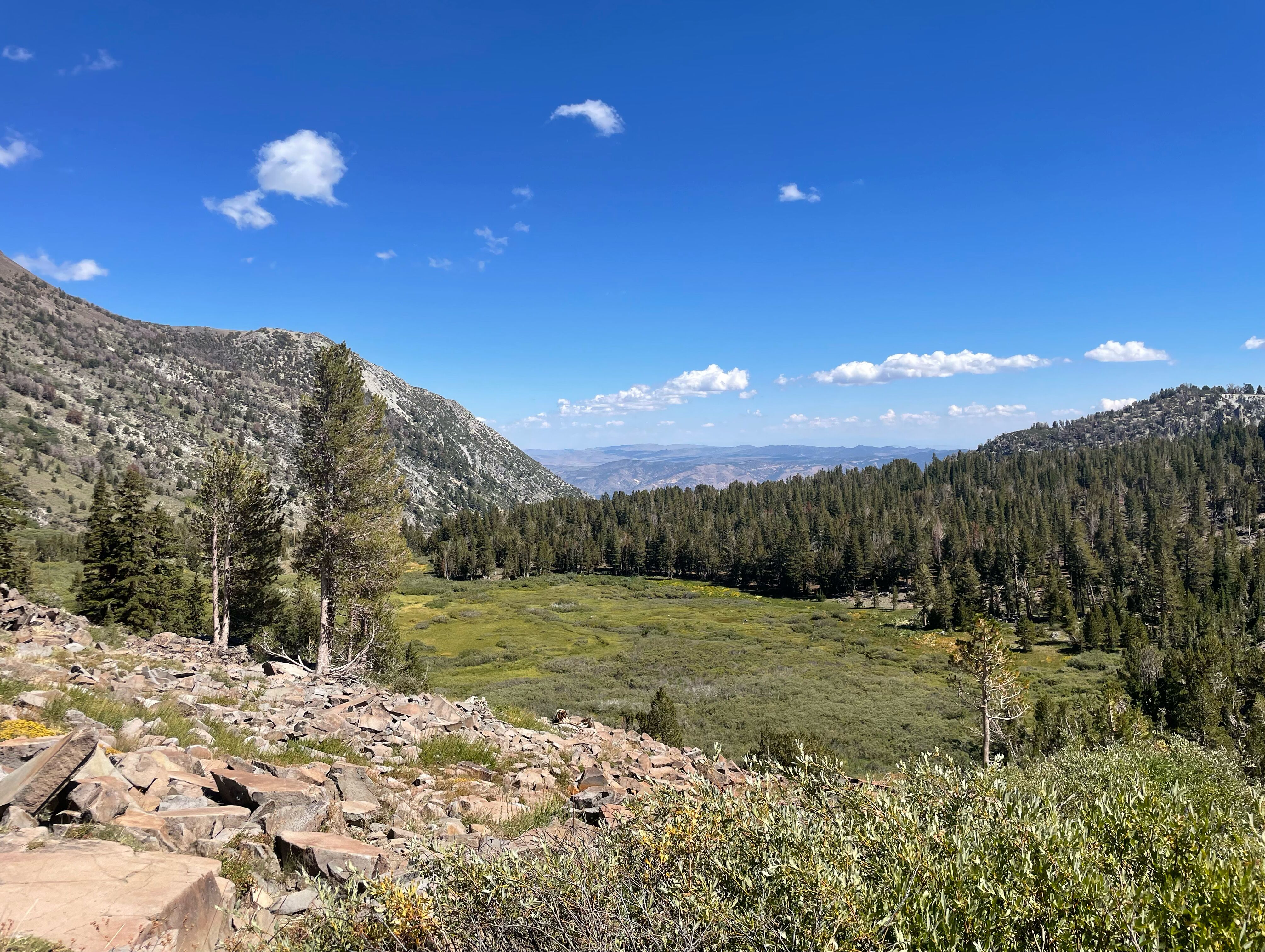 Picture of Lake Tahoe