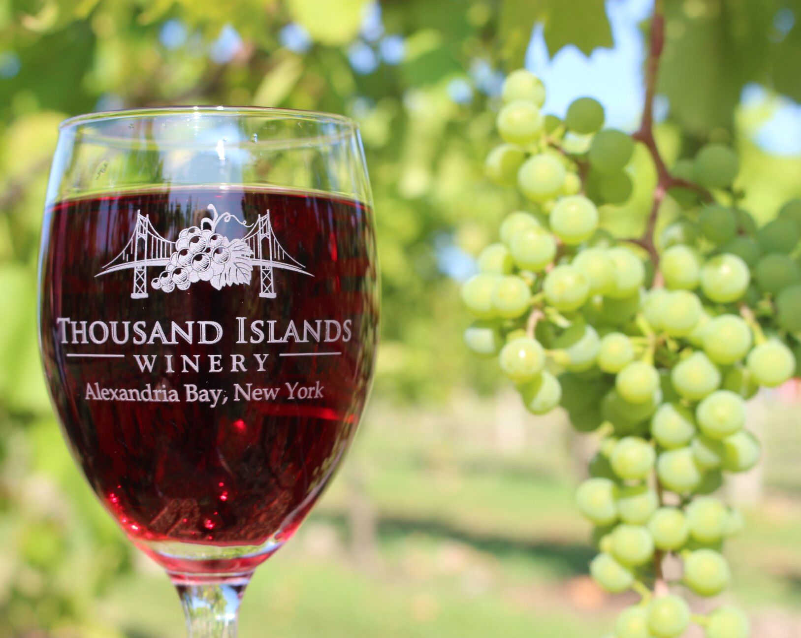 Picture of Thousand Island Winery