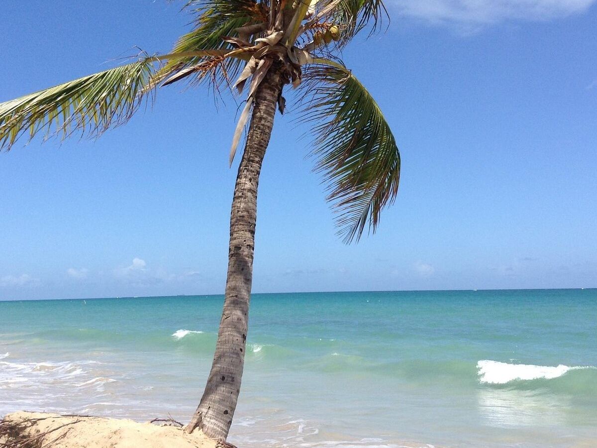 Picture of Ocean Park Beach