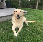 Riley