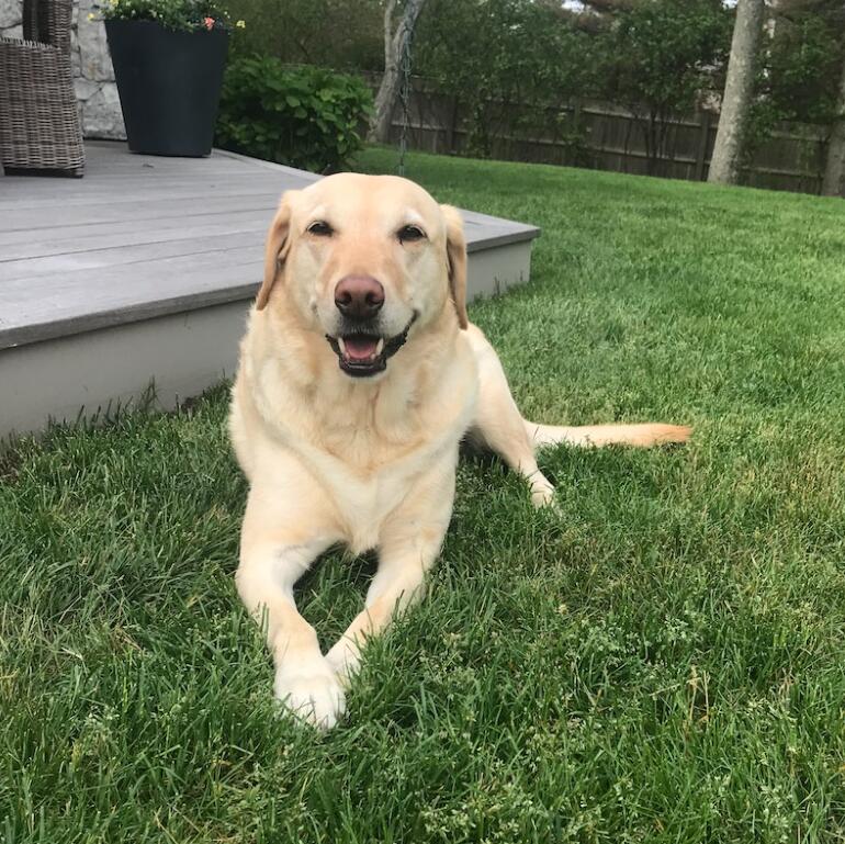 Riley
