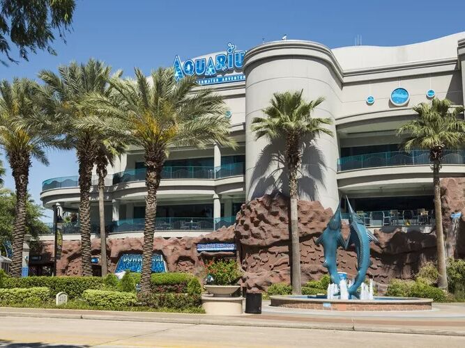 Picture of Downtown Aquarium