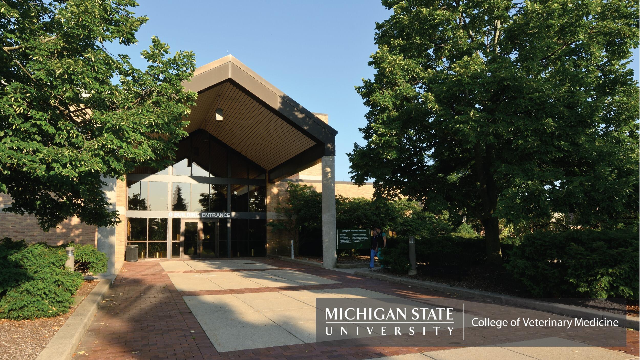 Picture of Michigan State University
