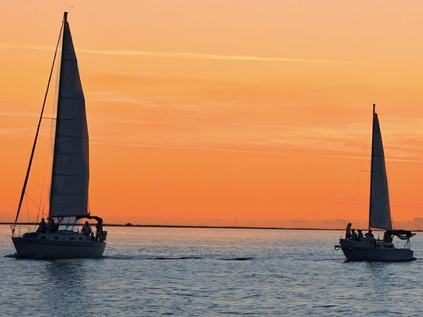 Picture of Jolly Sailing & Dolphin Cruise