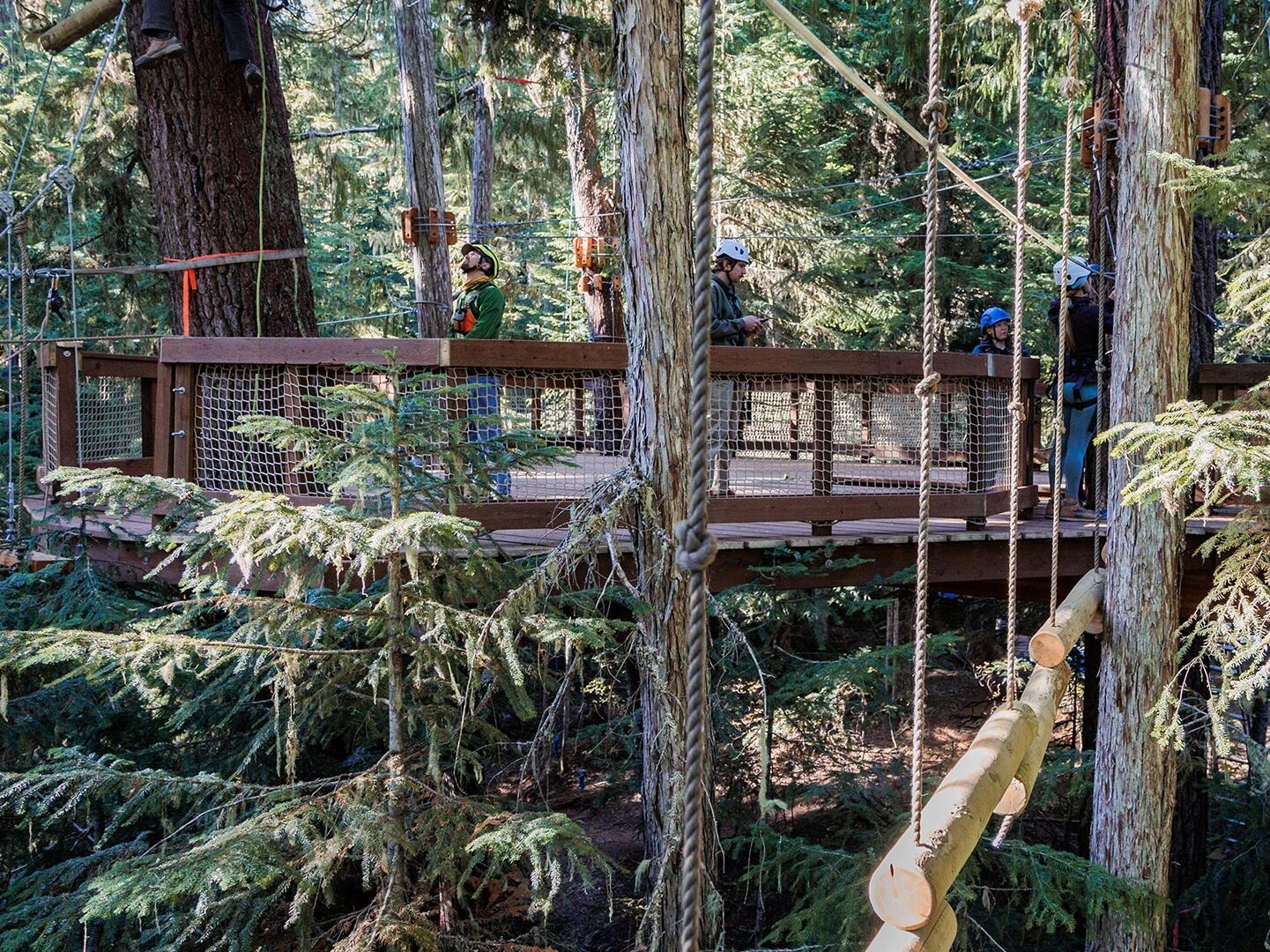 Picture of Flying Raven Adventure Course