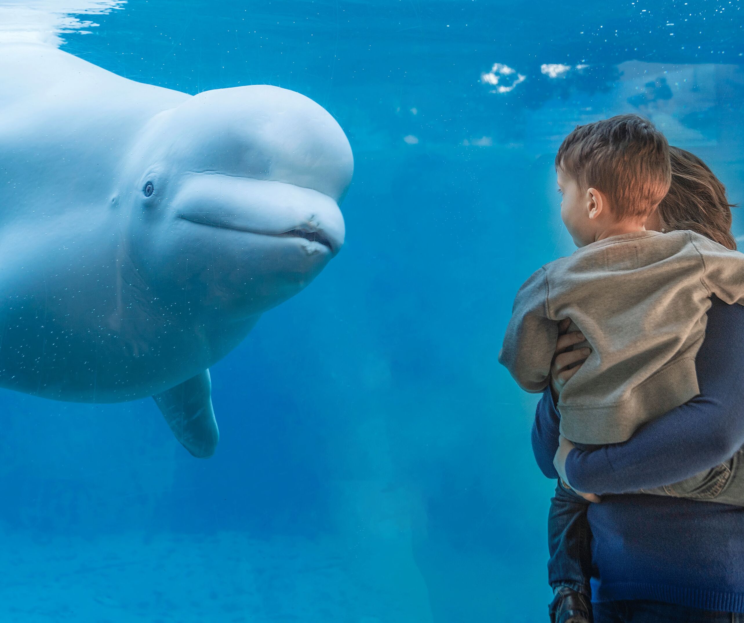 Picture of Mystic Aquarium