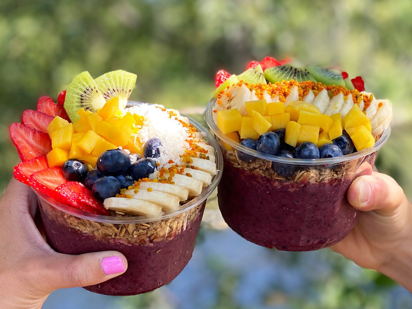 Picture of Mountain Berry Bowls Helena