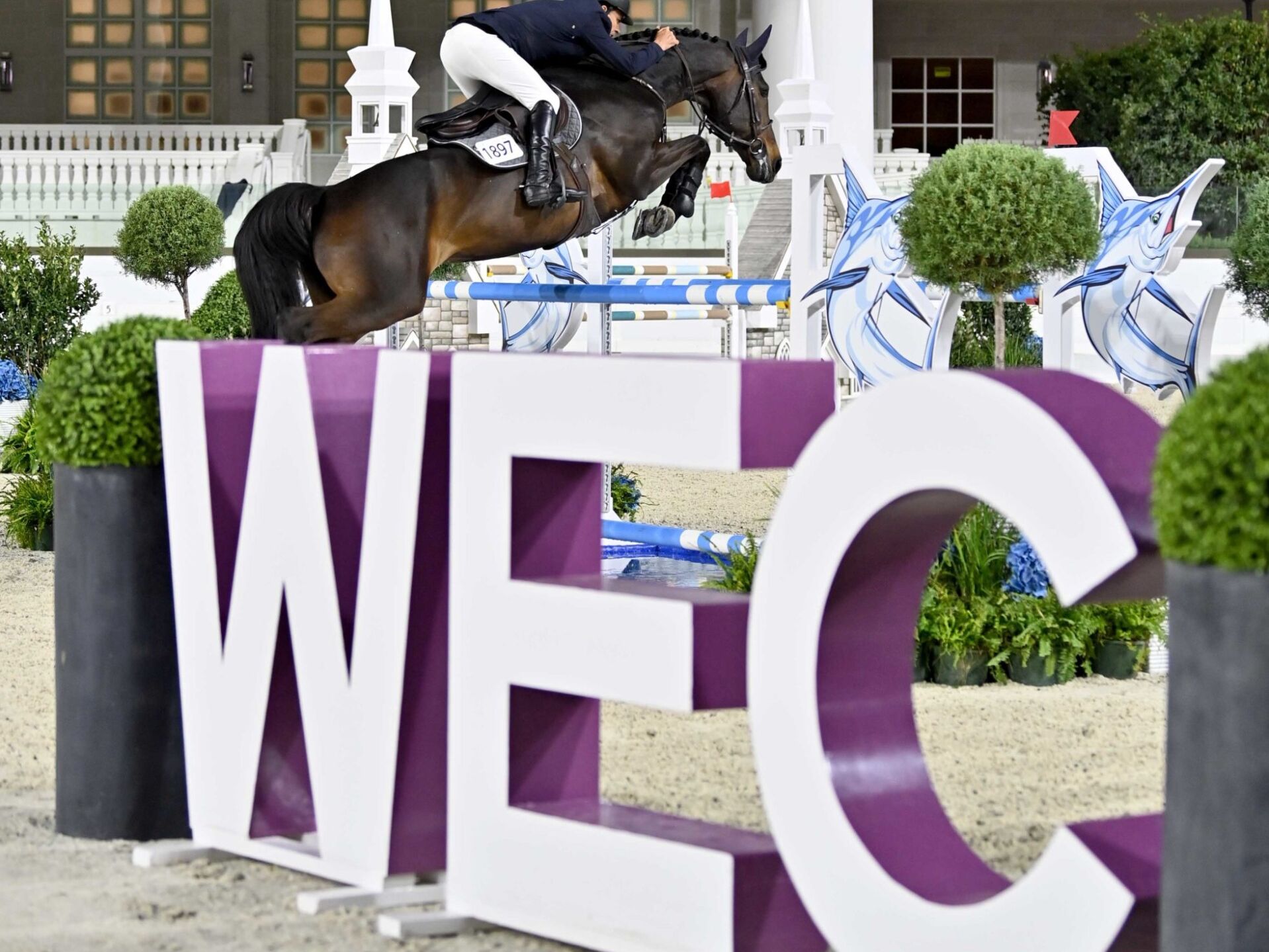 Picture of World Equestrian Center — Ocala