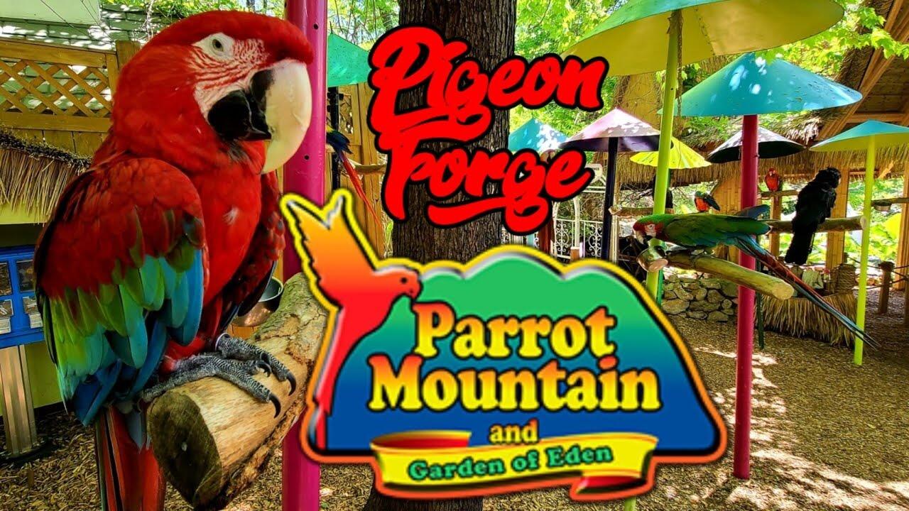 Picture of Parrot Mountain and Gardens