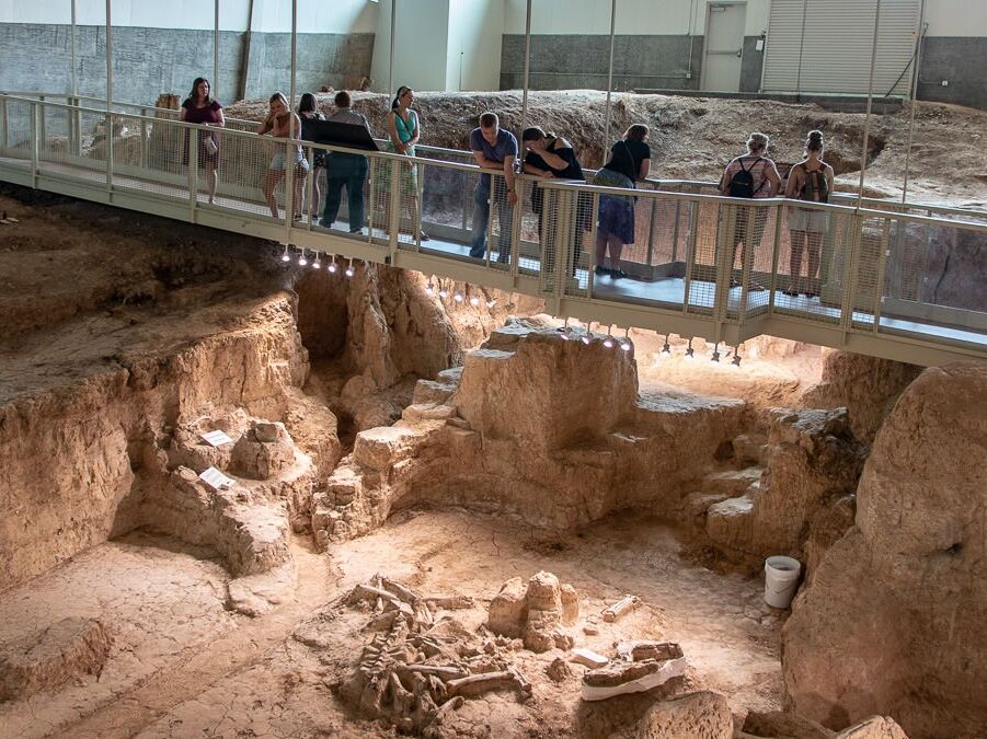 Picture of Waco Mammoth National Monument