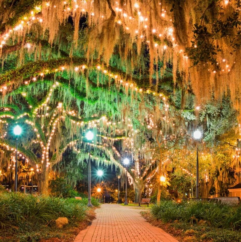 Picture of Things to do around Tallahassee, FL