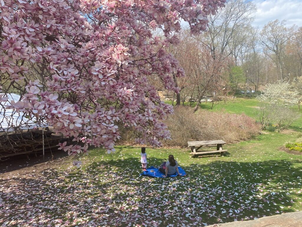 Picture of Greenburgh Nature Center