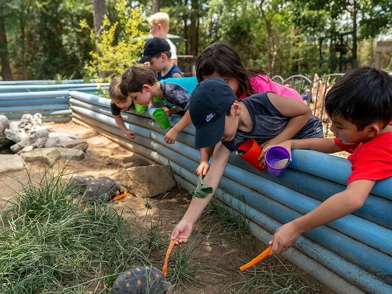 Picture of The Learning Zoo