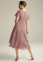 AW Bridal AW Meryl Dress Pink Mother Of The Bride Dress - thumbnail - 2