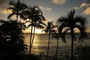 Picture of Gallows Point Resort