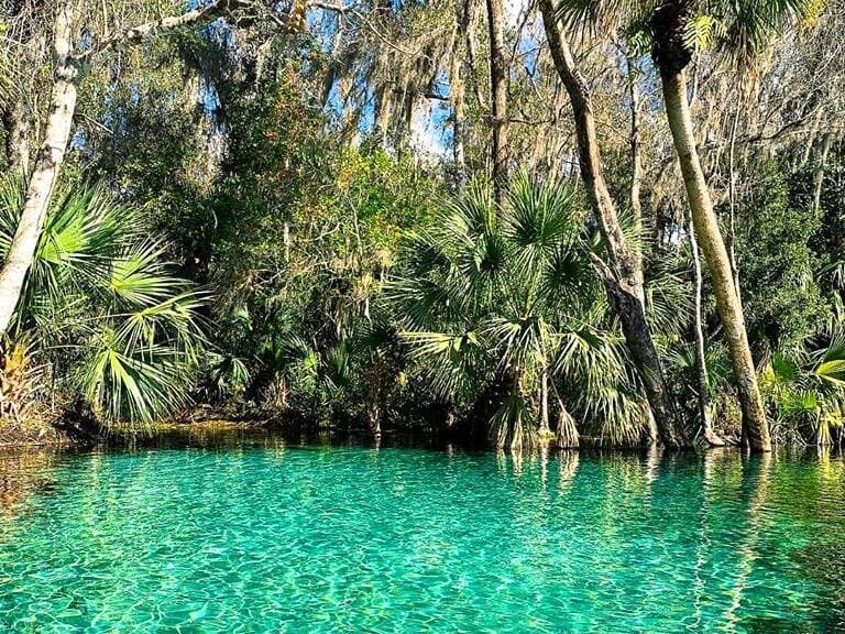 Picture of KP Hole Park