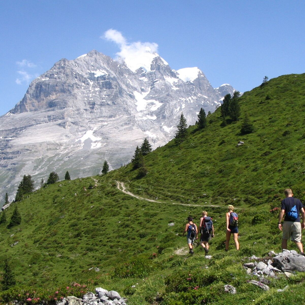 Picture of Hiking EVERYWHERE