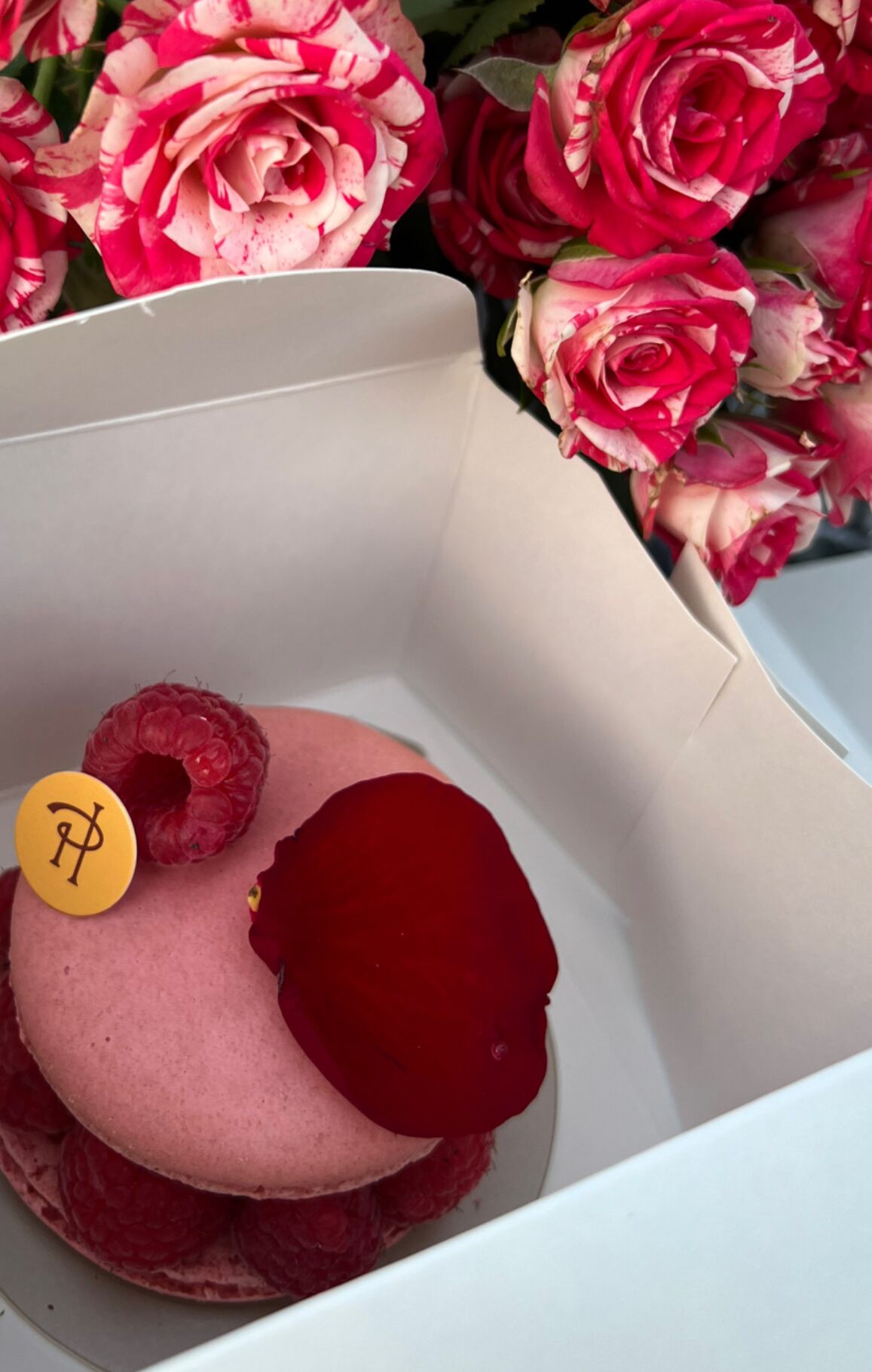 Picture of Pierre Hermé