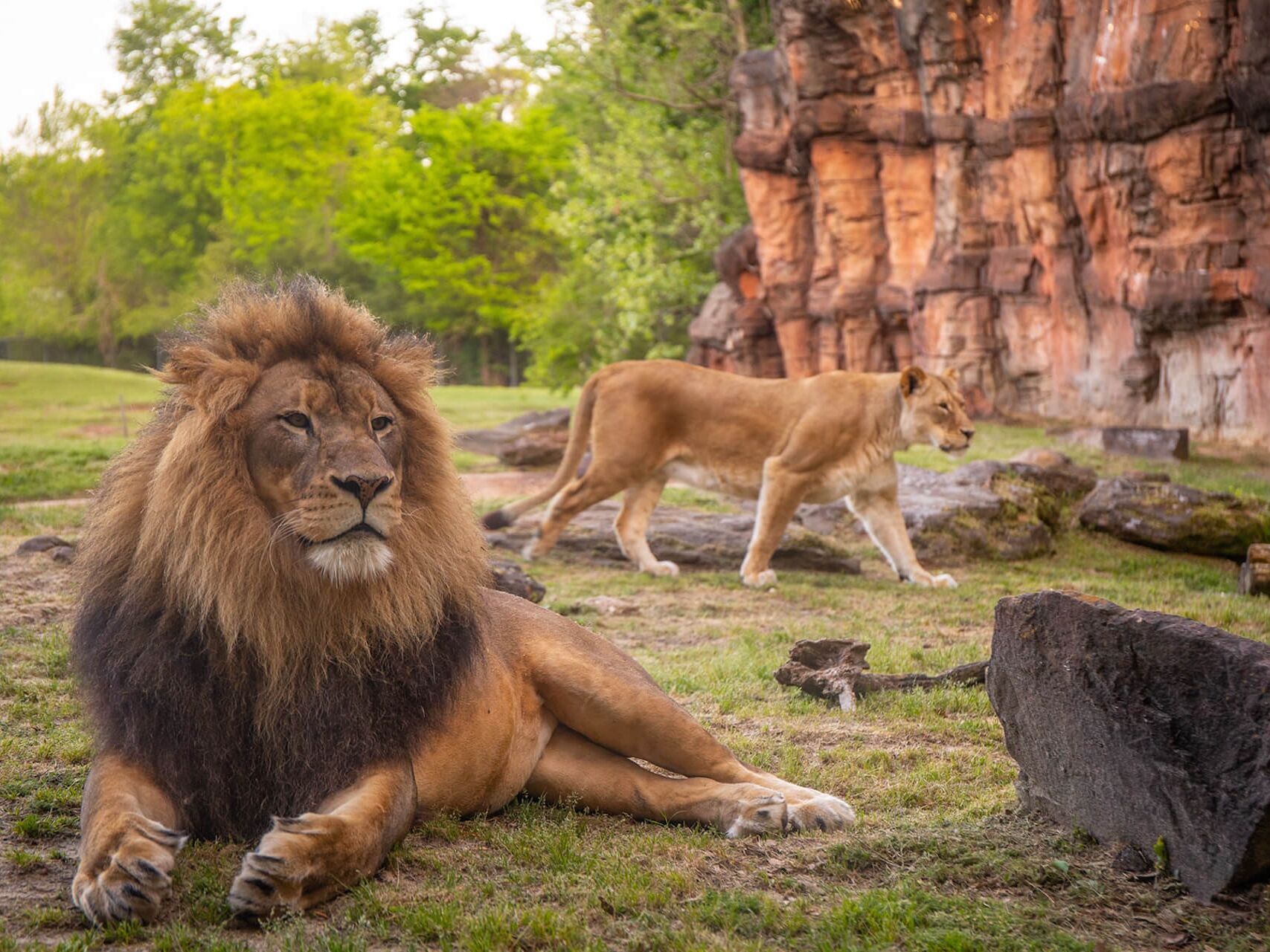 Picture of Caldwell Zoo