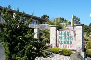 Picture of Muir Woods Lodge