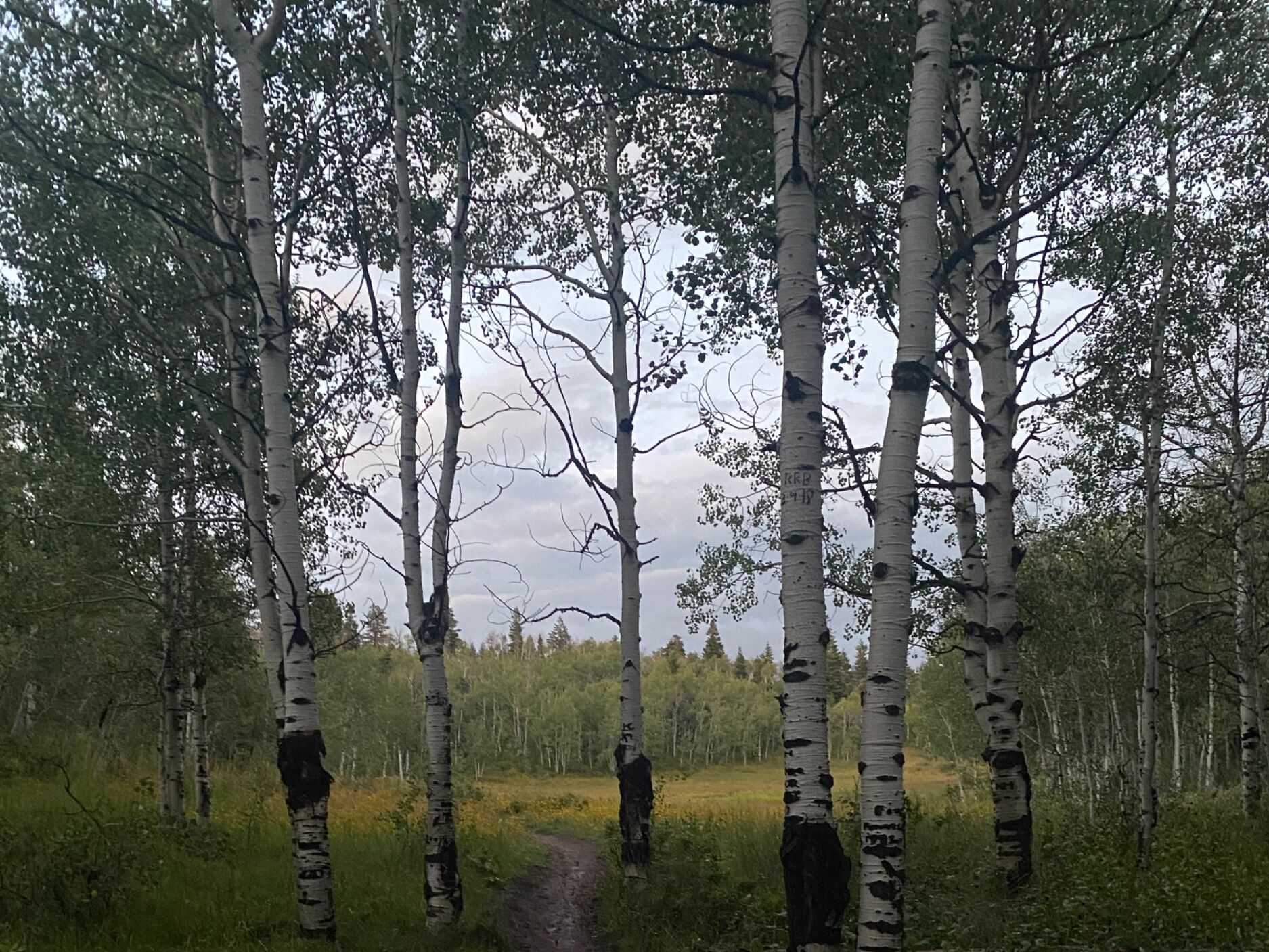 Picture of It began with a hike
