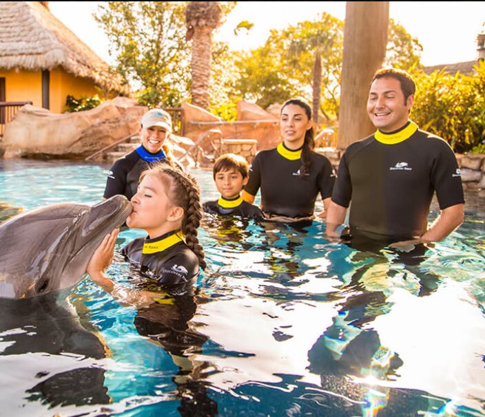 Picture of Sea World San Antonio