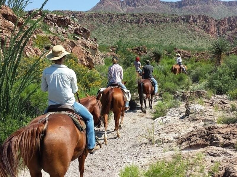 Picture of Big Bend Stables