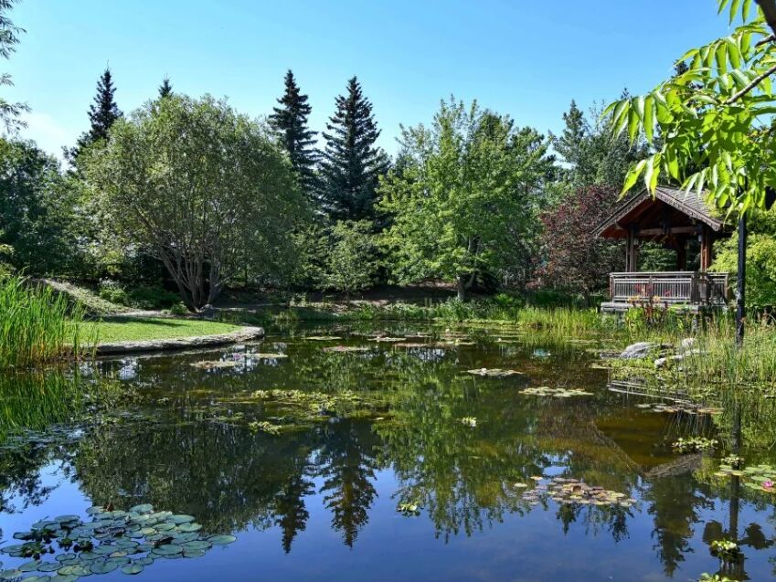 Picture of Boffins Public Gardens
