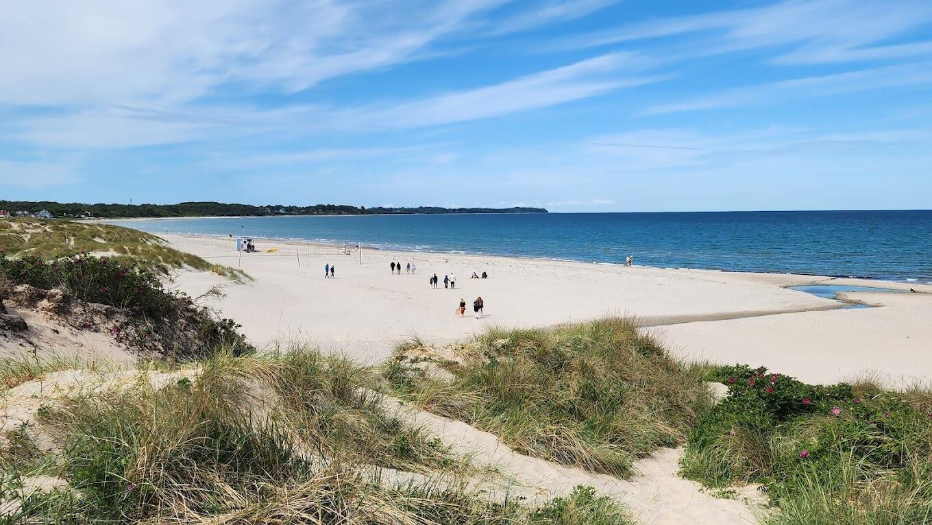 Picture of Hornbaek beach