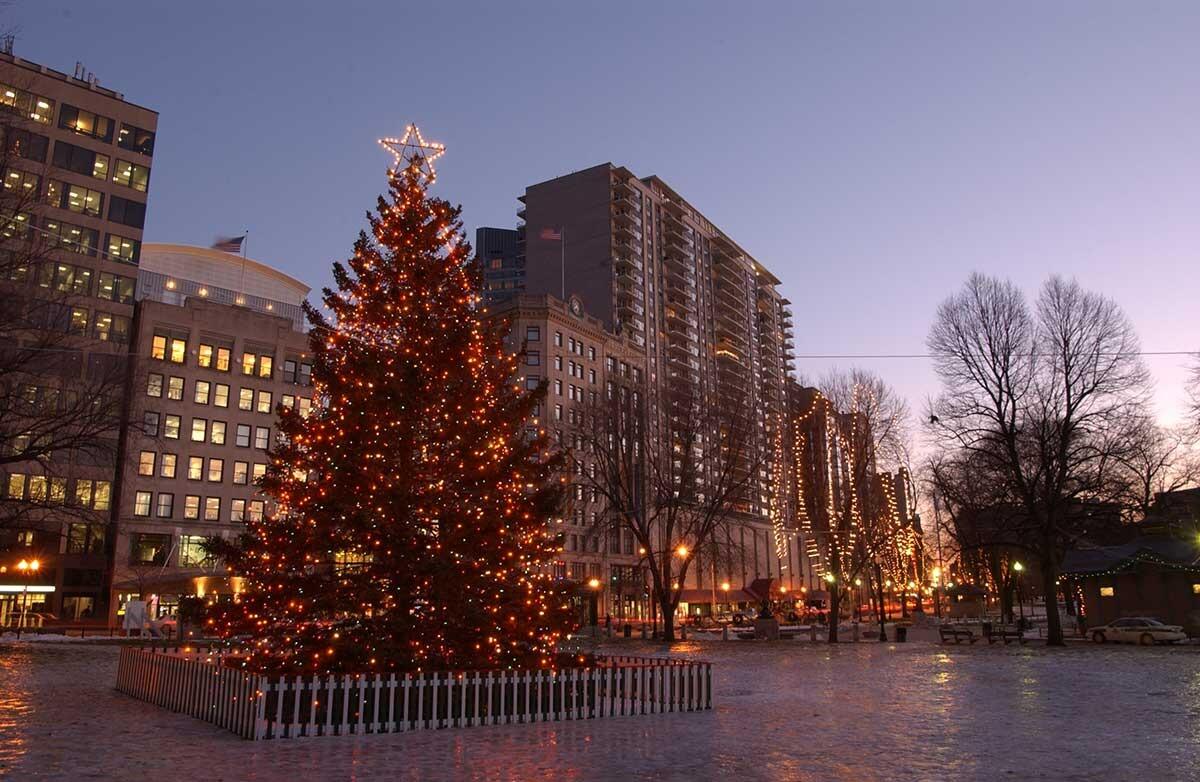 Picture of Boston Christmas Trees