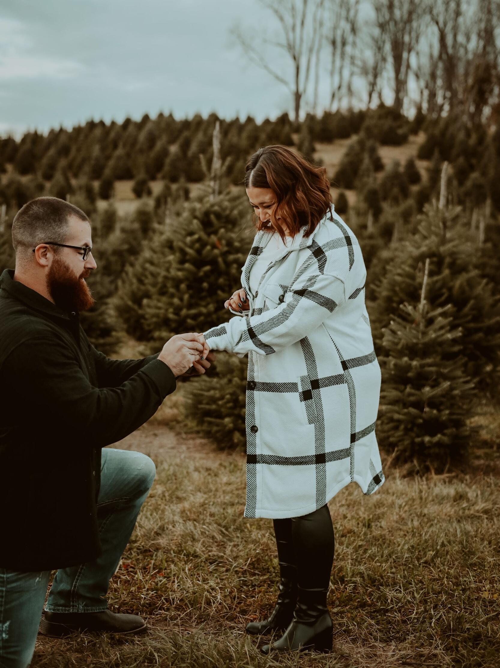 Picture of The Engagement 