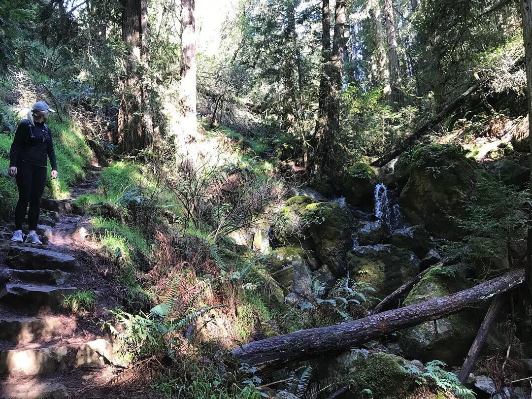 Picture of Steep Ravine Trail, Stinson Beach, CA, United States