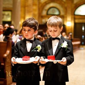 Classic Tuxedo Ring Bearers