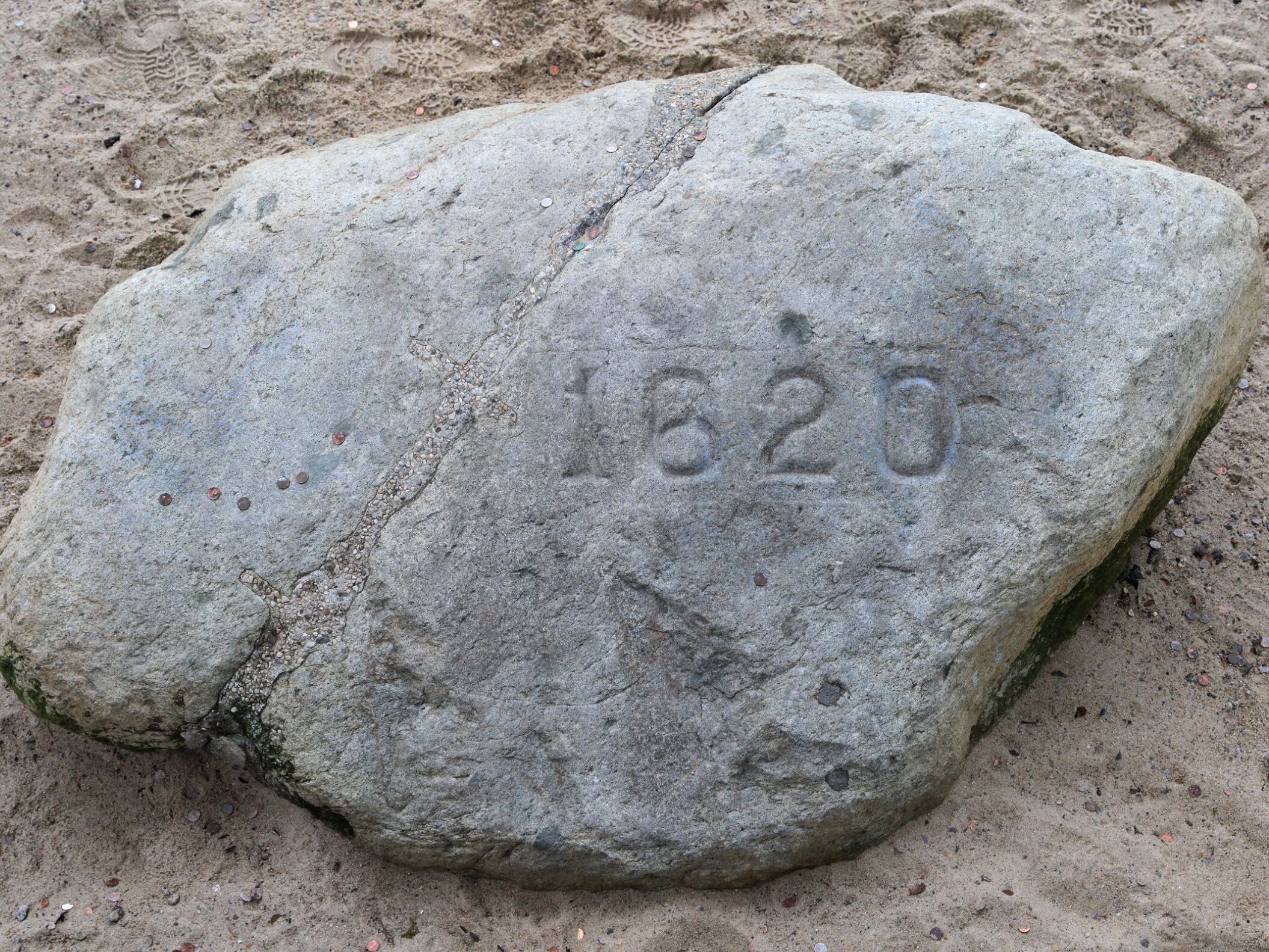 Picture of Plymouth Rock