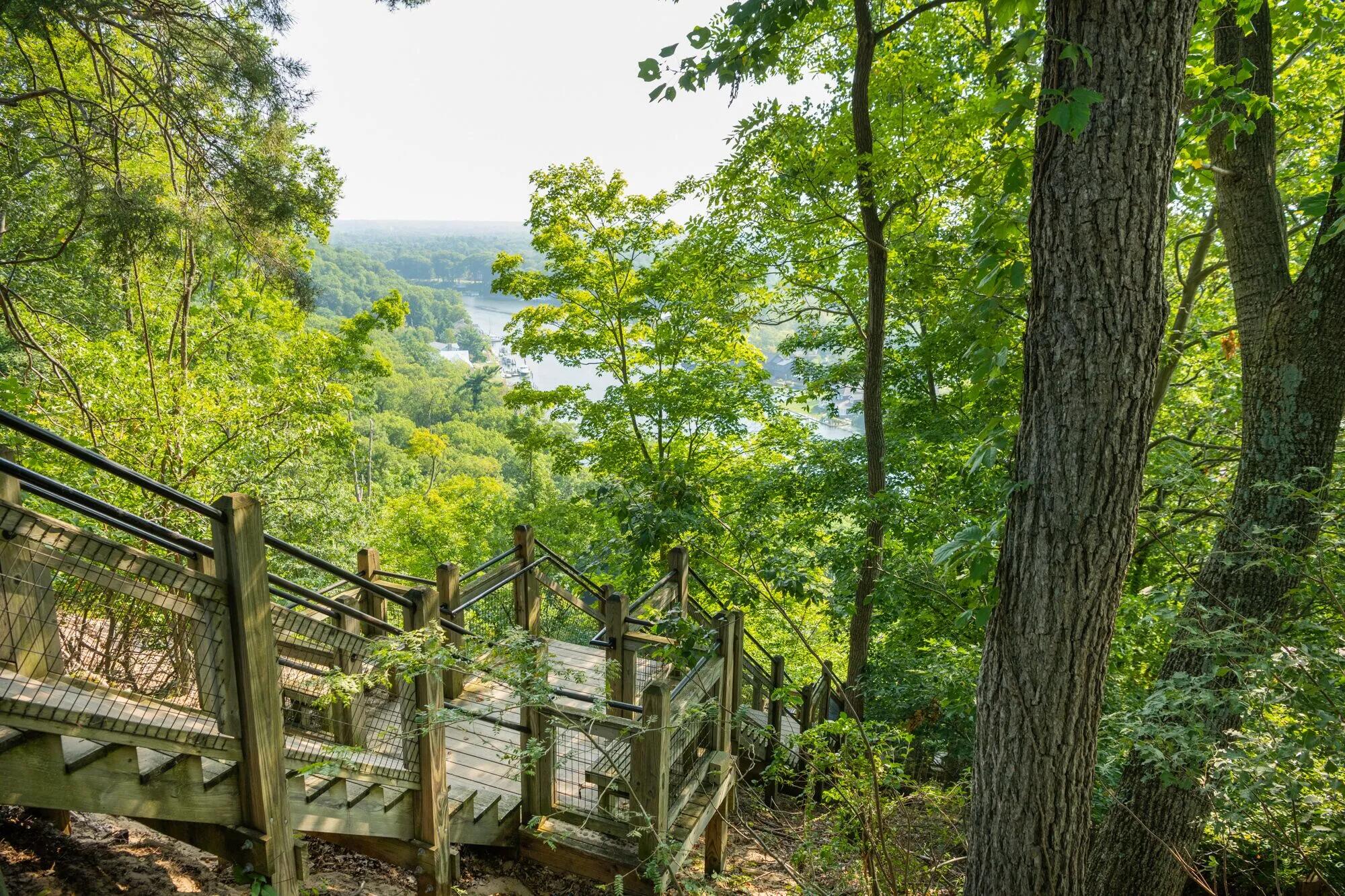 Picture of Mount Baldhead Park