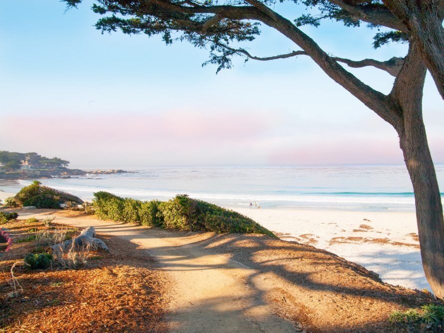 Picture of Carmel Beach