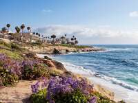 san diego bachelor party photo of beautiful beaches and waves
