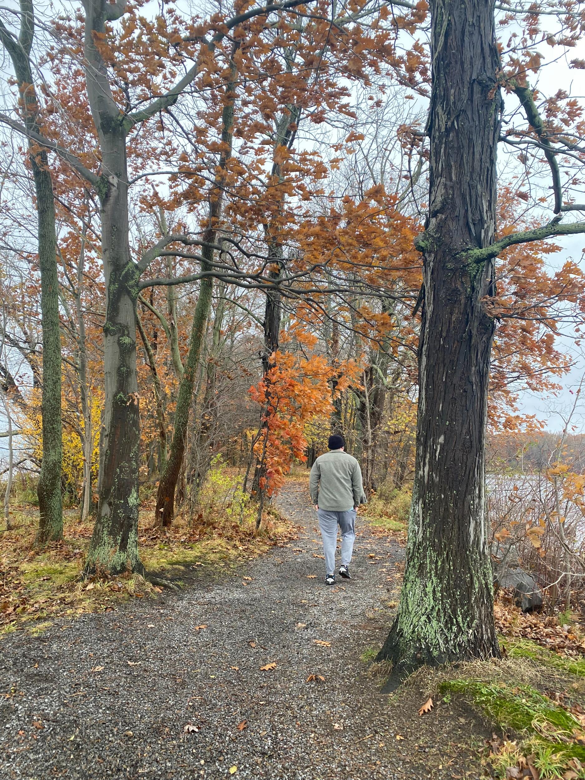 Picture of Long Point State Park on Lake Chautauqua