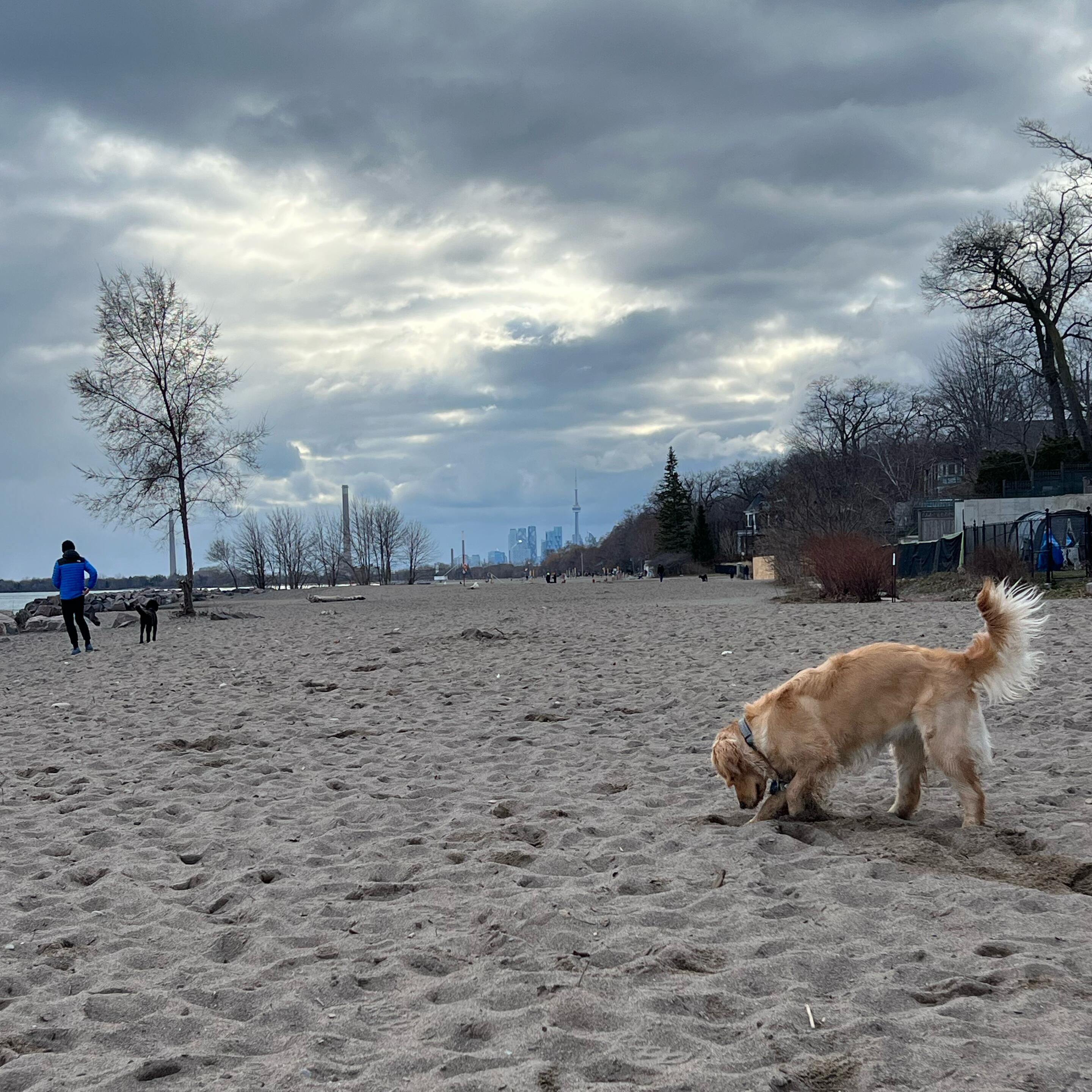 Picture of The Beach
